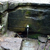 Святой источник у Крестовоздвиженской церкви (8.7.22).